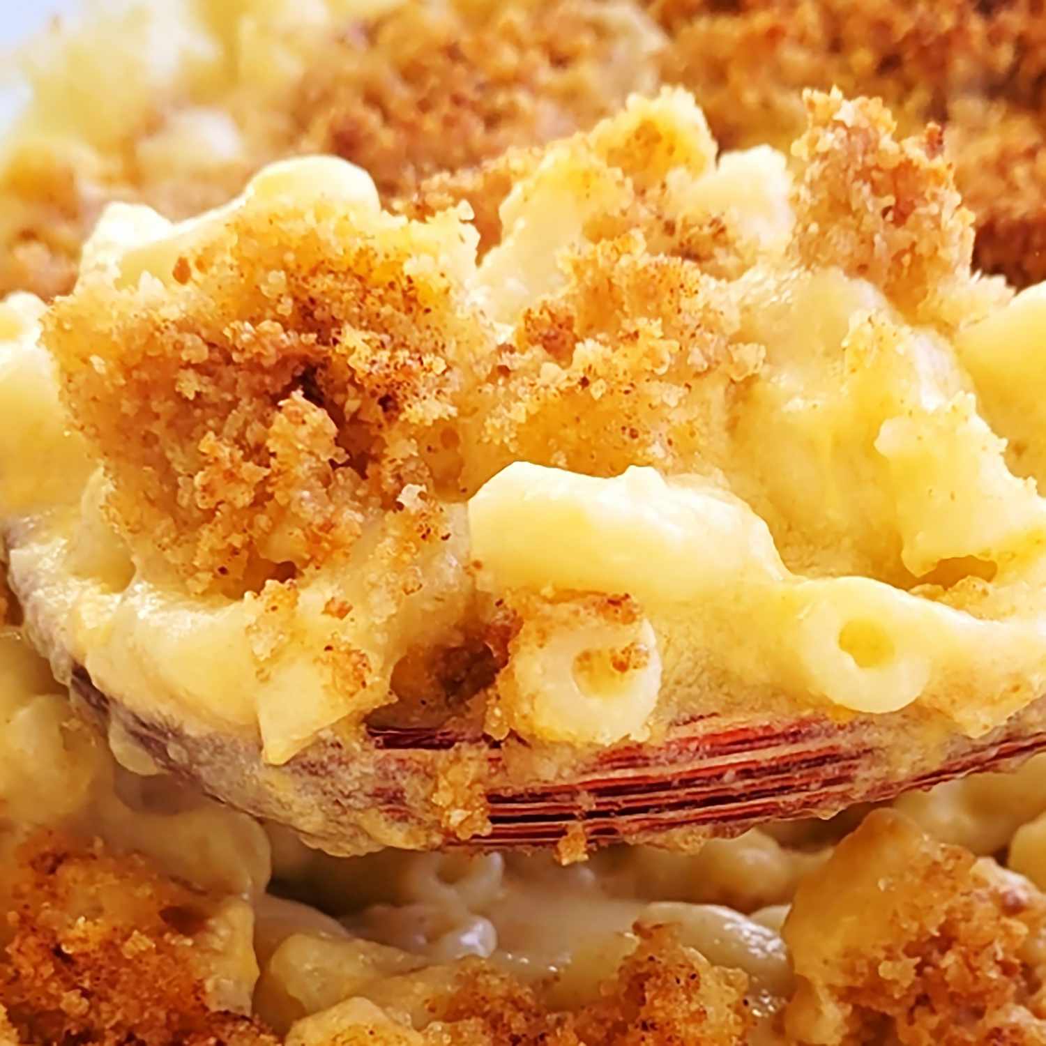 A closeup of mac and cheese